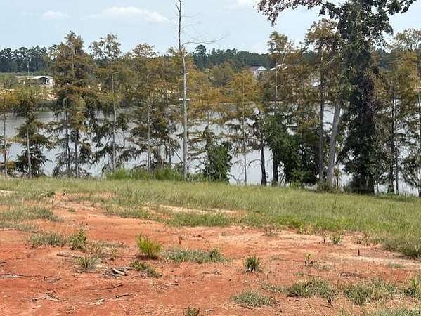 Residential Land for Sale in Florien, Louisiana