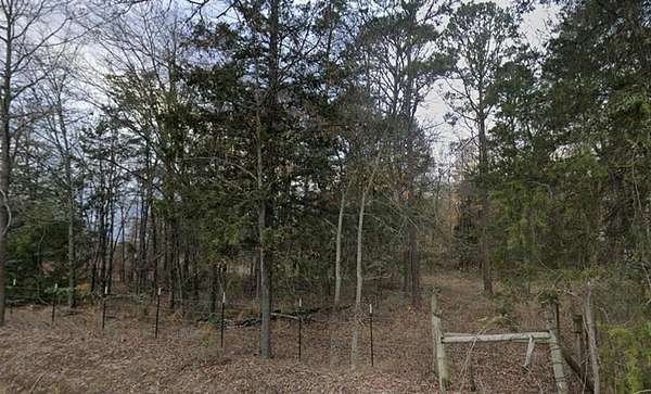 1 Acre of Land for Sale in Scroggins, Texas