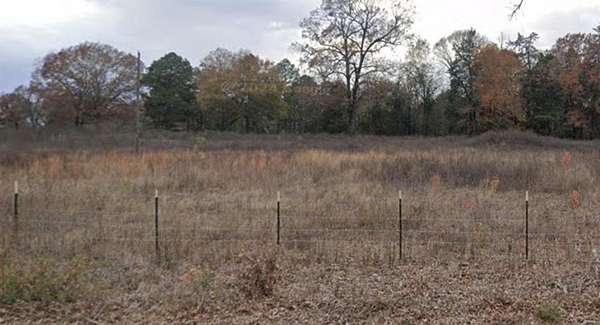 1 Acre of Land for Sale in Scroggins, Texas