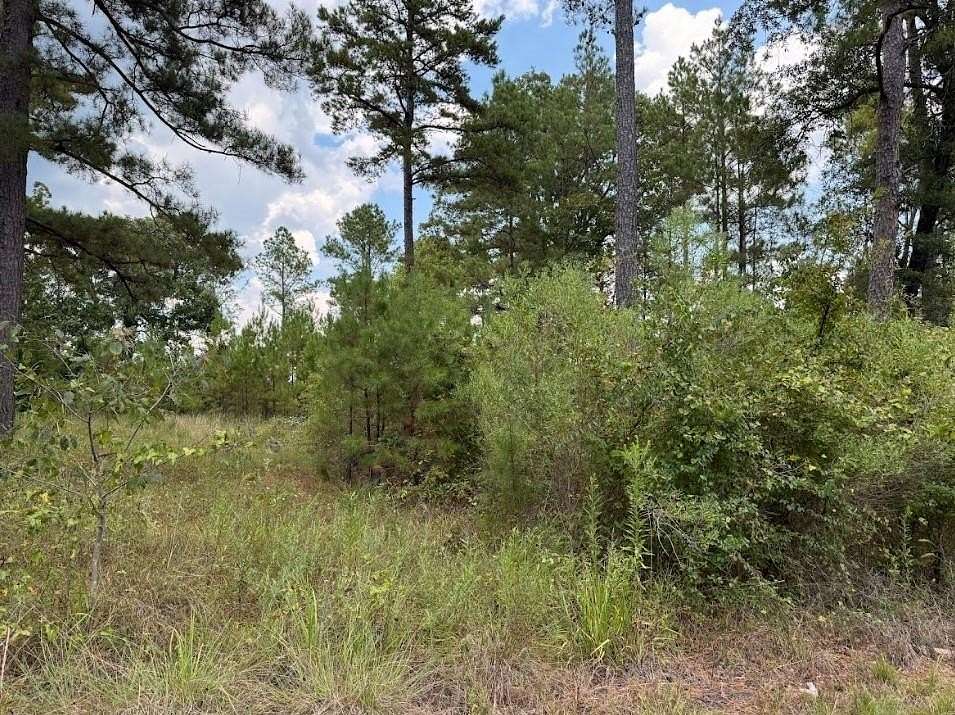 1 Acre of Residential Land for Sale in Benton, Louisiana
