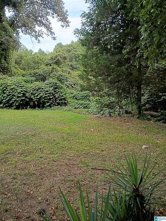 2 Acres of Residential Land for Sale in Bessemer, Alabama