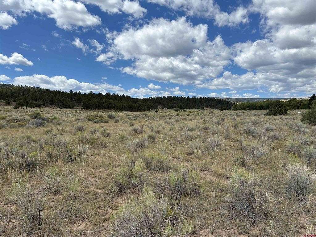 3 Acres of Residential Land for Sale in Antonito, Colorado