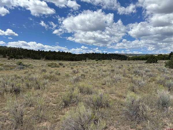 3 Acres of Land for Sale in Antonito, Colorado