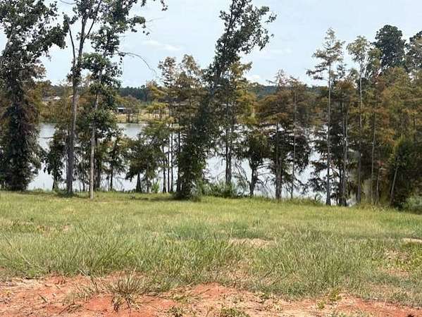 0.46 Acres of Residential Land for Sale in Florien, Louisiana