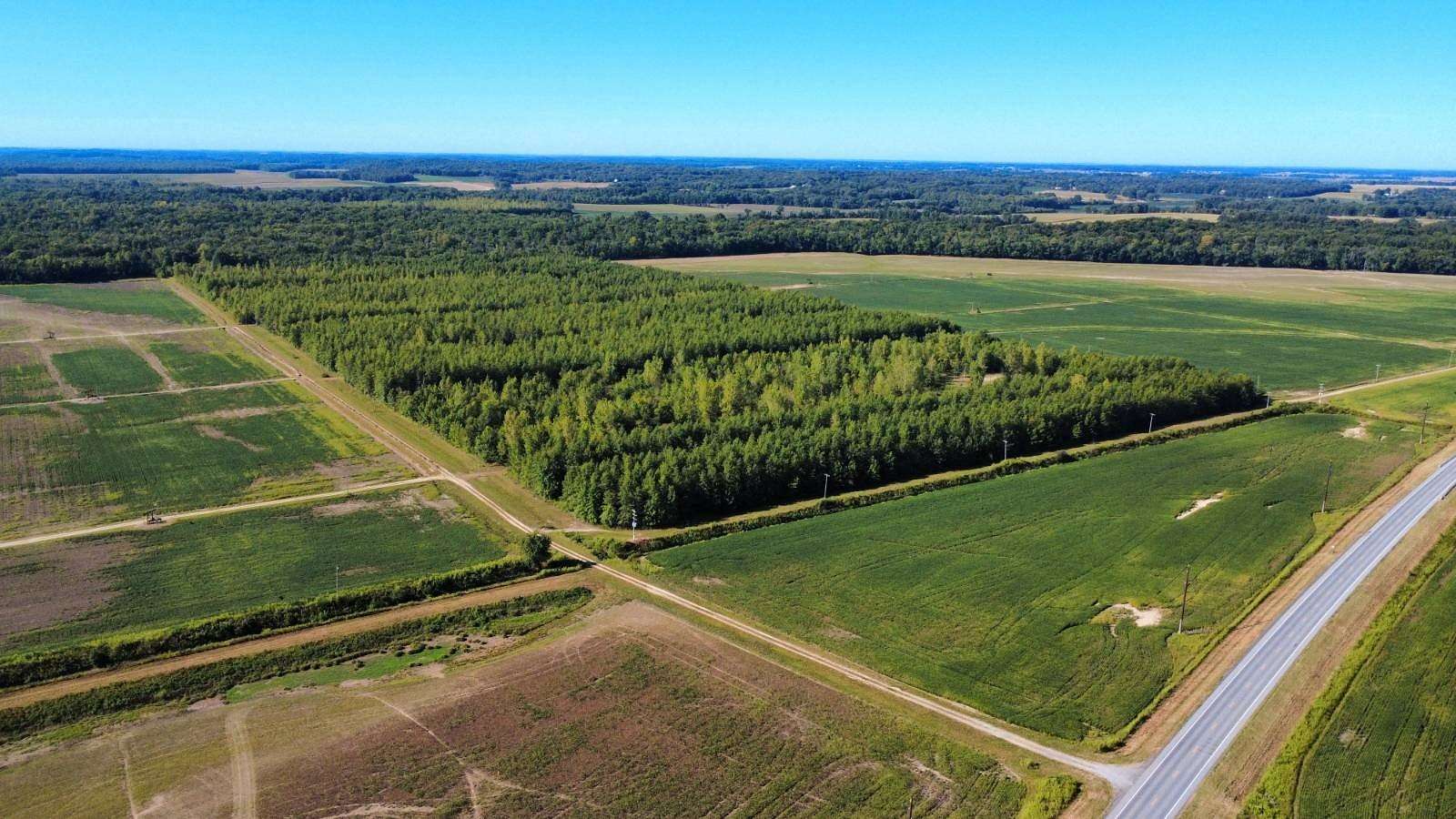 80 Acres of Recreational Land & Farm for Sale in Fairfield, Illinois