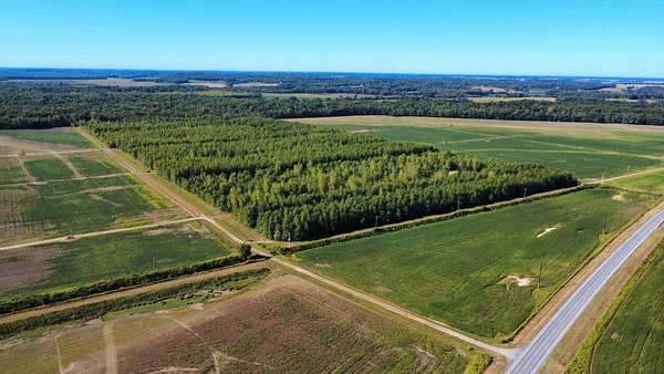 80 Acres of Recreational Land & Farm for Sale in Fairfield, Illinois