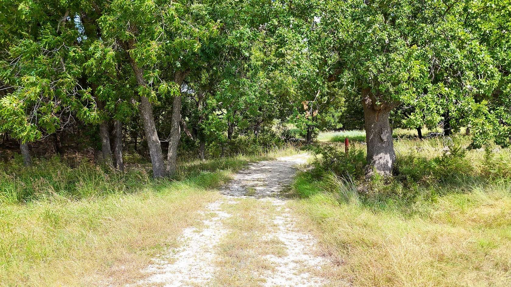11 Acres of Recreational & Residential Land for Sale in Iredell, Texas