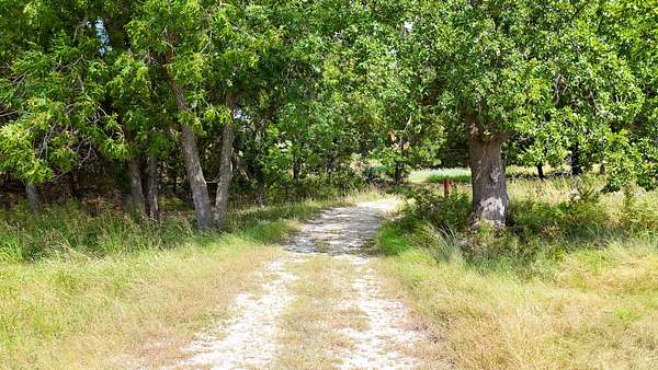 11 Acres of Recreational & Residential Land for Sale in Iredell, Texas