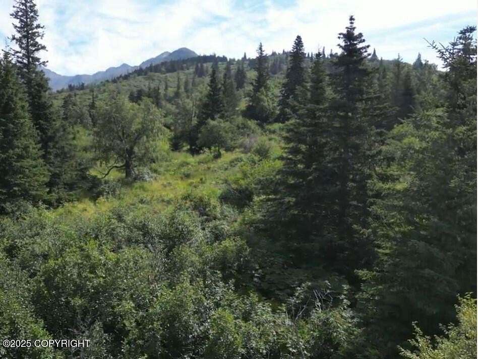 1 Acre of Residential Land for Sale in Anchorage, Alaska