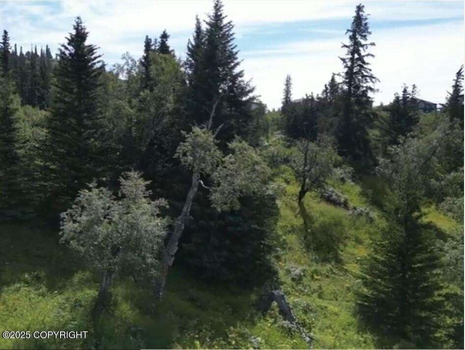 1 Acre of Residential Land for Sale in Anchorage, Alaska