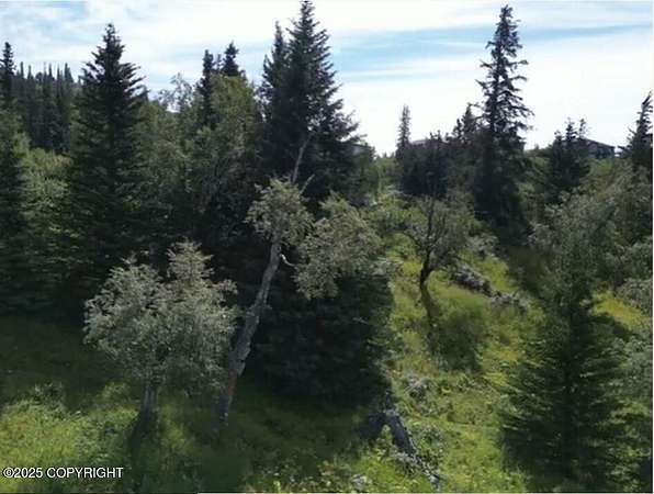 1.43 Acres of Residential Land for Sale in Anchorage, Alaska