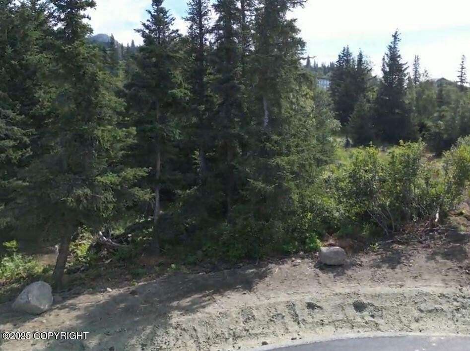 1.26 Acres of Residential Land for Sale in Anchorage, Alaska