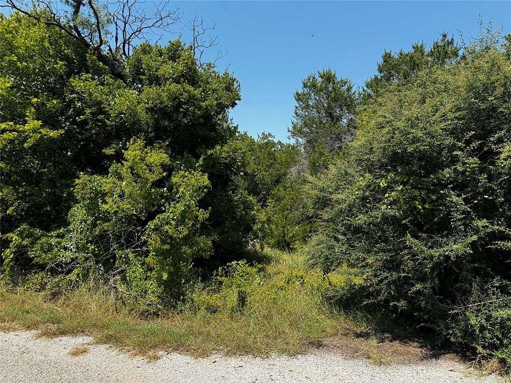 0.1 Acres of Residential Land for Sale in Granbury, Texas