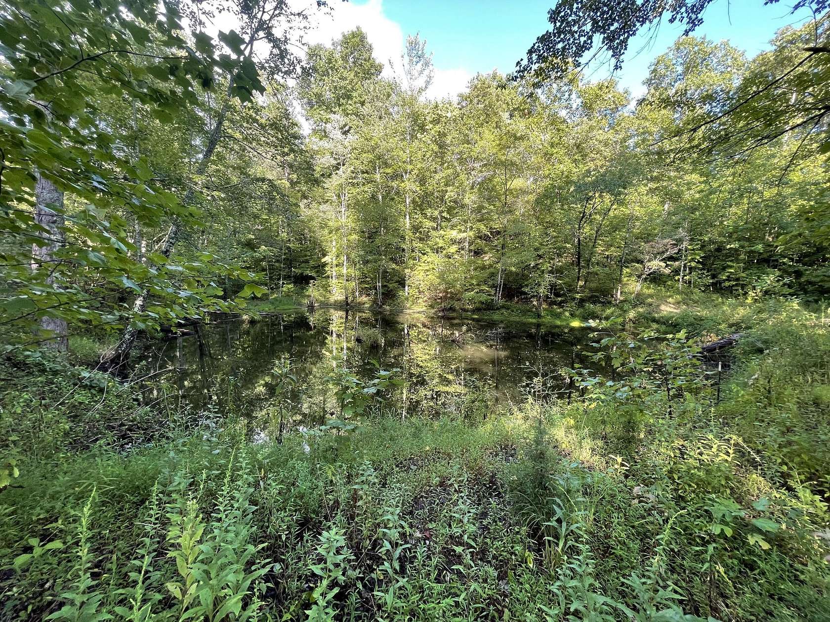 19.1 Acres of Land for Sale in Manchester, Kentucky