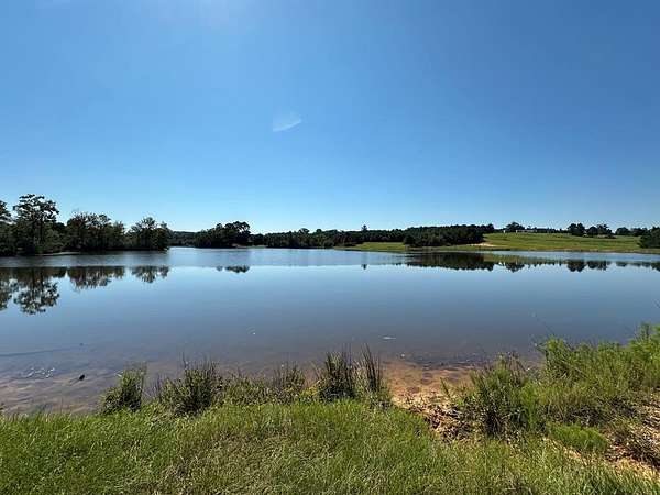 613 Acres of Agricultural Land for Sale in Troy, Alabama