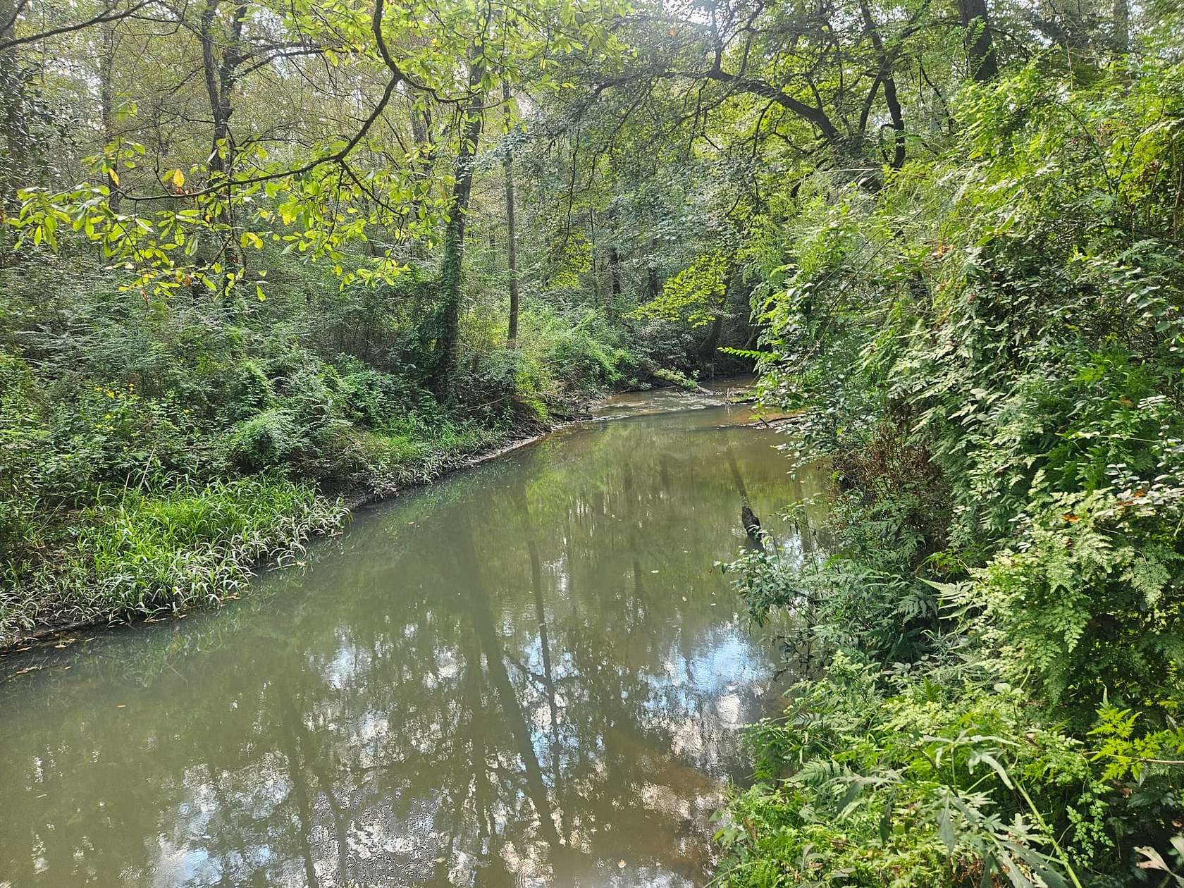 78 Acres of Recreational Land for Sale in Mount Olive, Mississippi