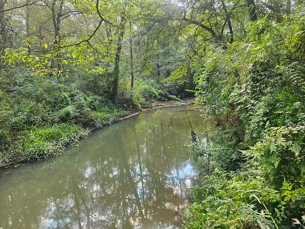 78 Acres of Recreational Land for Sale in Mount Olive, Mississippi