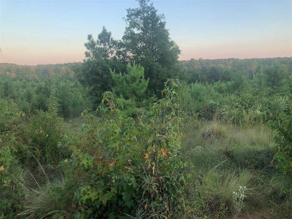 73.4 Acres of Recreational Land for Sale in Abbeville, South Carolina