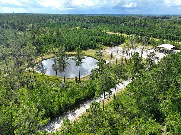 25.3 Acres of Recreational Land & Farm for Sale in Kingsland, Georgia