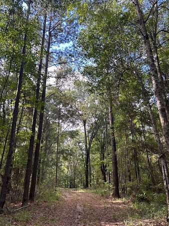 92 Acres of Recreational Land for Sale in Ozark, Alabama