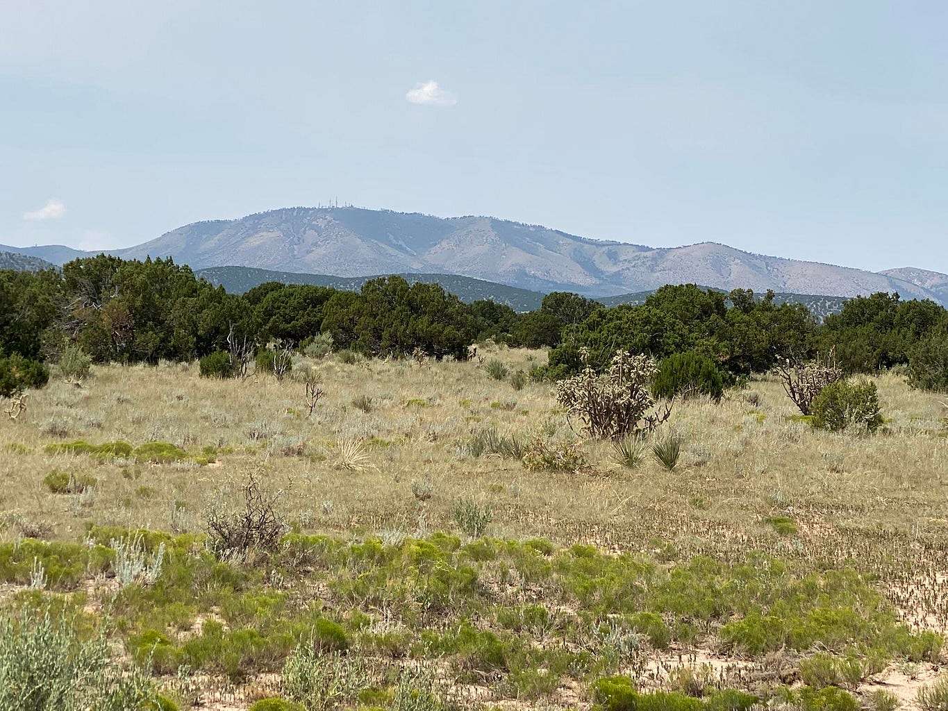 42.3 Acres of Land for Sale in Corona, New Mexico