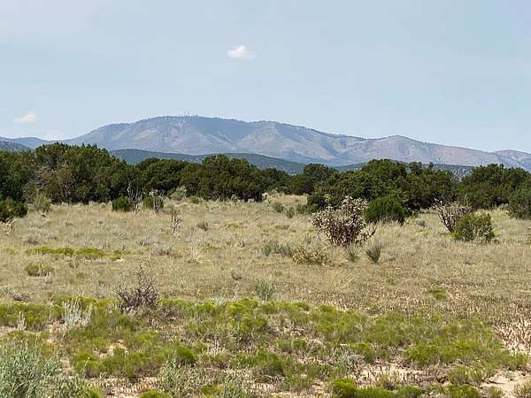 42.3 Acres of Land for Sale in Corona, New Mexico
