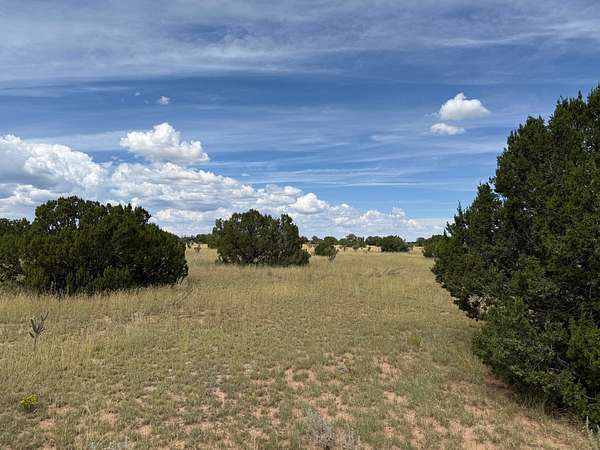 80 Acres of Land for Sale in Mountainair, New Mexico