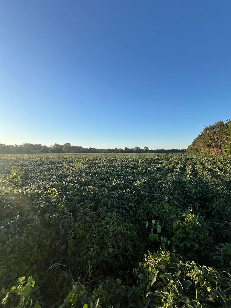 170 Acres of Land for Sale in Spickard, Missouri