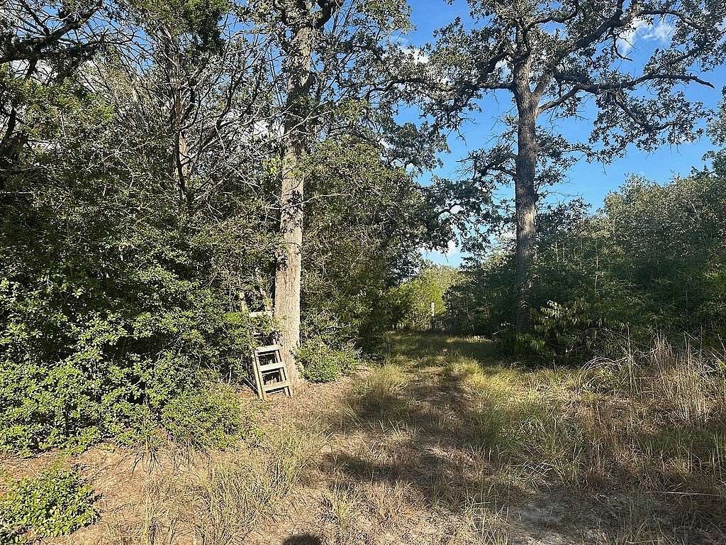 14.2 Acres of Agricultural Land for Sale in West Point, Texas