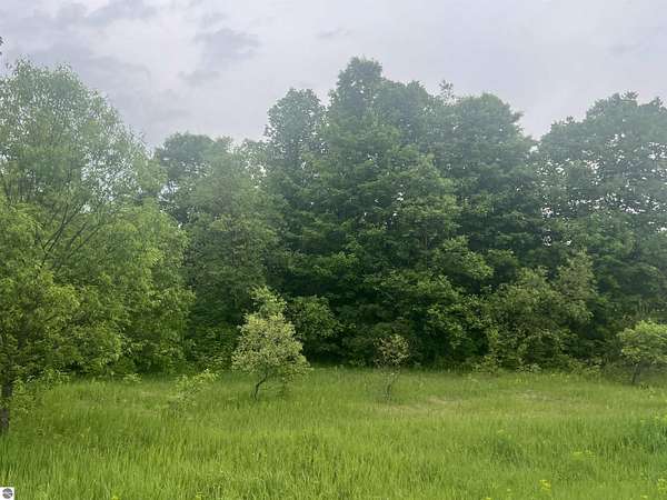 10 Acres of Land for Sale in Kalkaska, Michigan