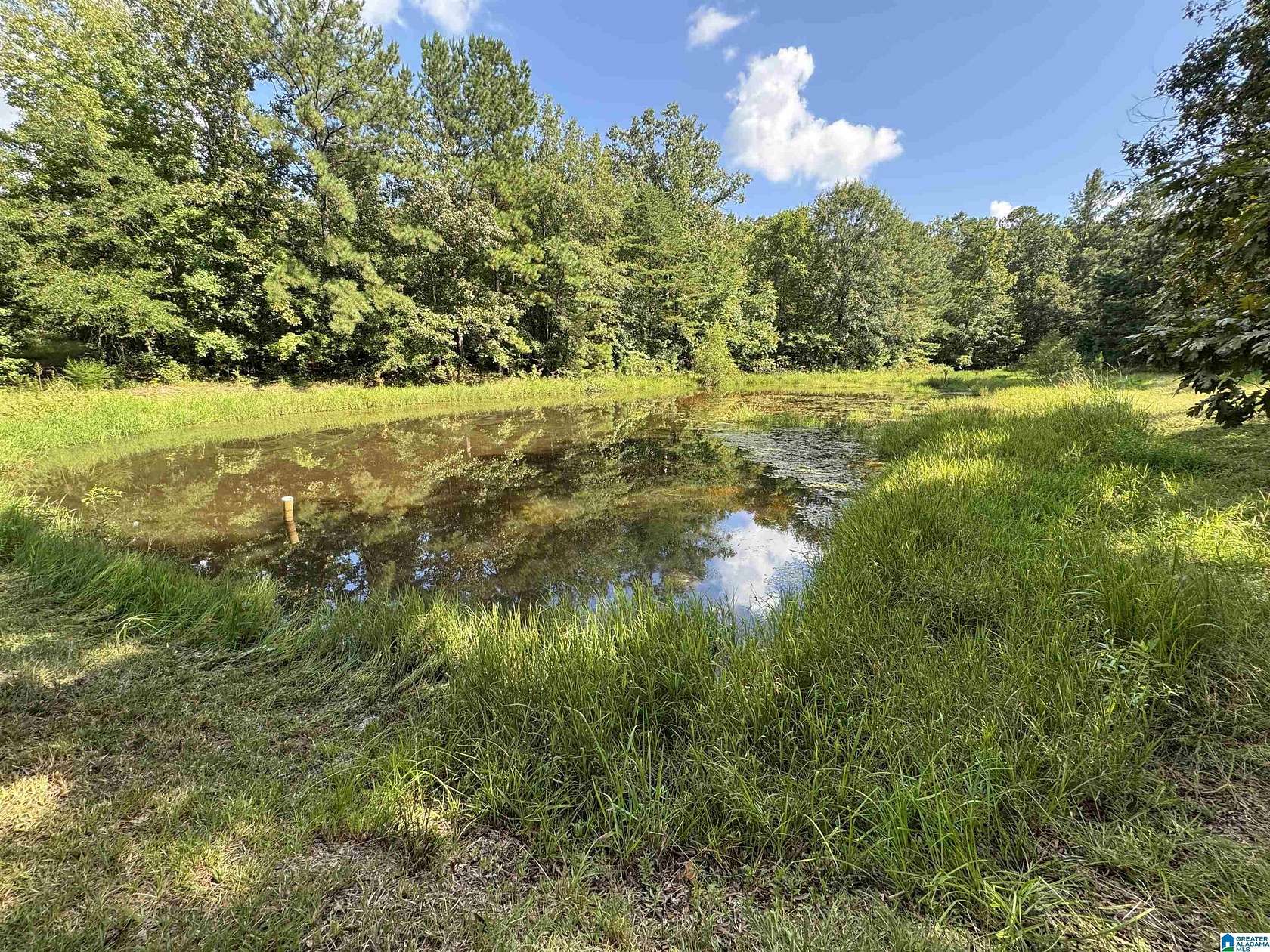 9.45 Acres of Land for Sale in Sterrett, Alabama