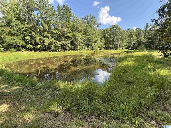 9.45 Acres of Land for Sale in Sterrett, Alabama