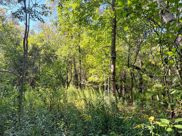 9 Acres of Land for Sale in Winthrop, New York