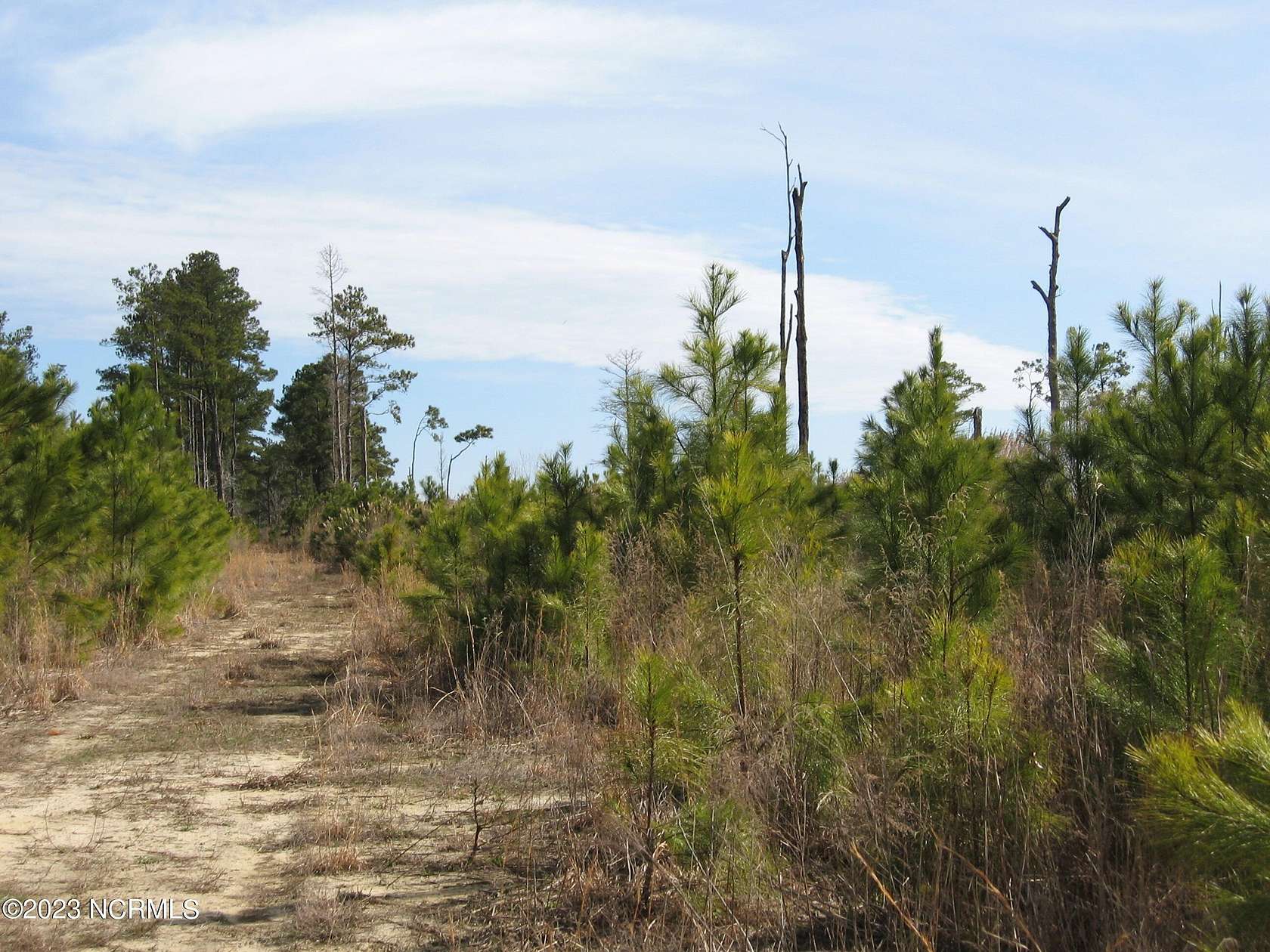 92.4 Acres of Agricultural Land for Sale in Barco, North Carolina