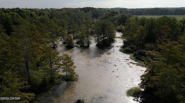 90 Acres of Recreational Land & Farm for Auction in Trenton, Tennessee