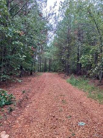 10.1 Acres of Recreational & Residential Land for Sale in Fredericktown, Missouri