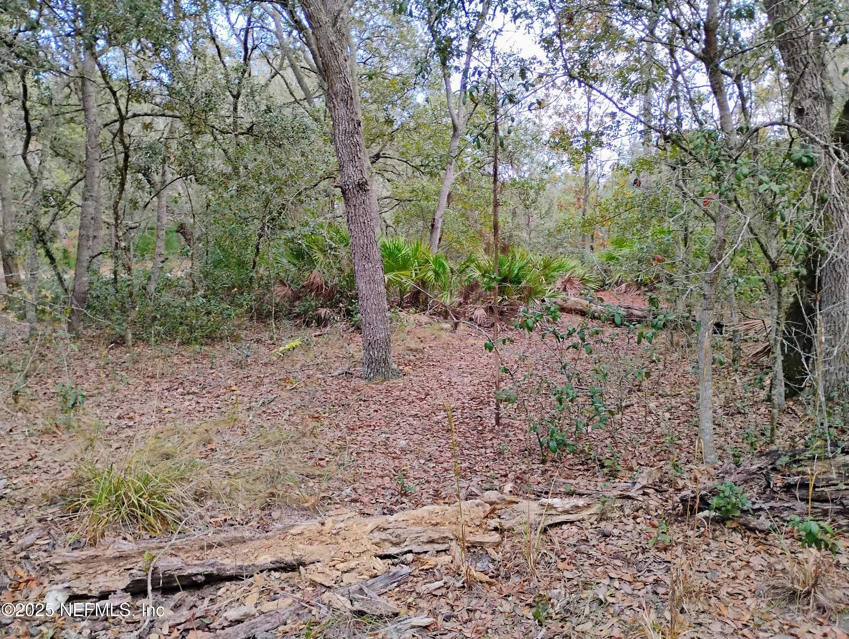 0.23 Acres of Residential Land for Sale in Interlachen, Florida