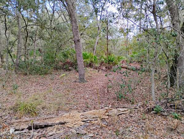 0.23 Acres of Residential Land for Sale in Interlachen, Florida