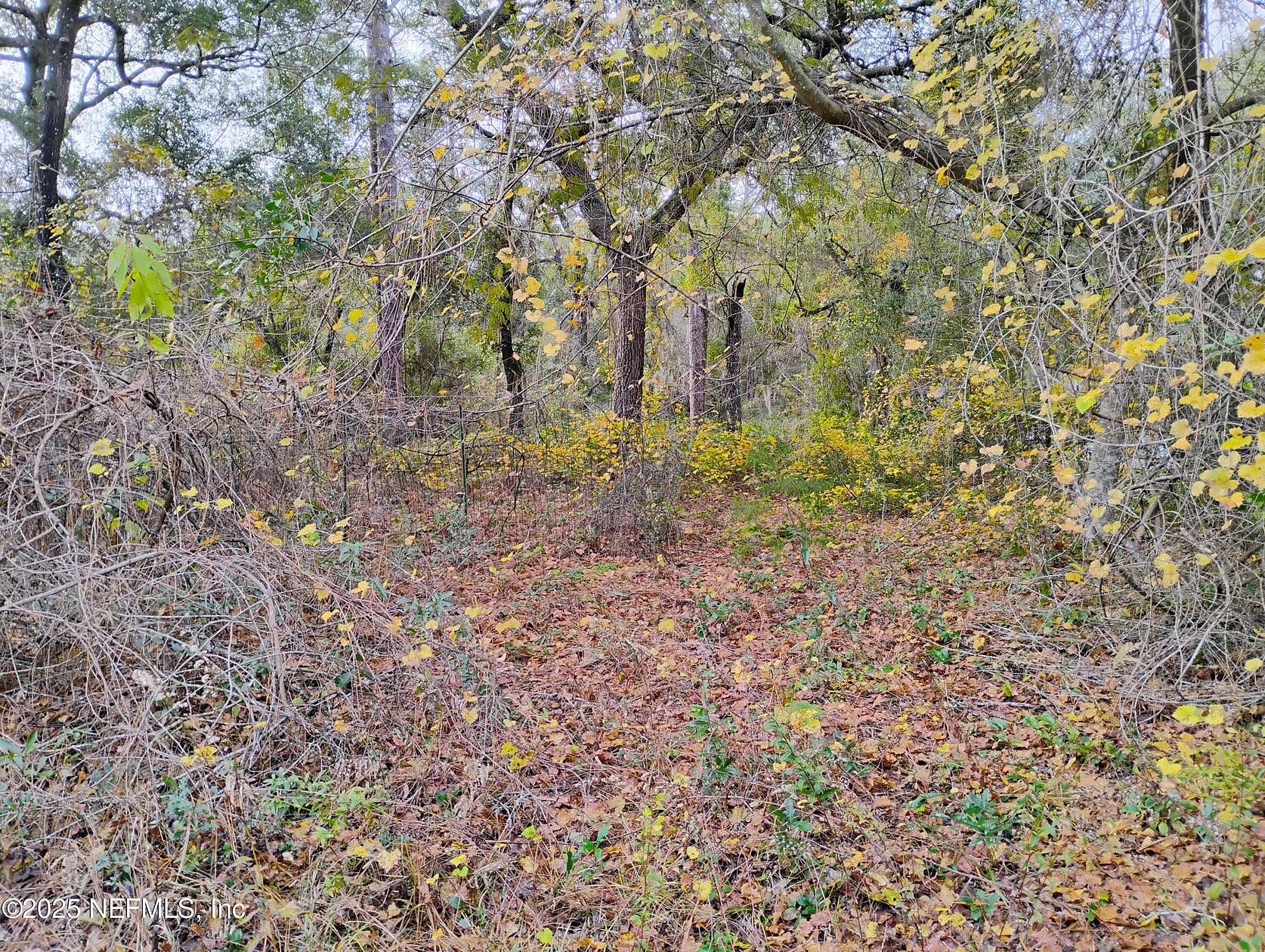 0.61 Acres of Residential Land for Sale in Interlachen, Florida