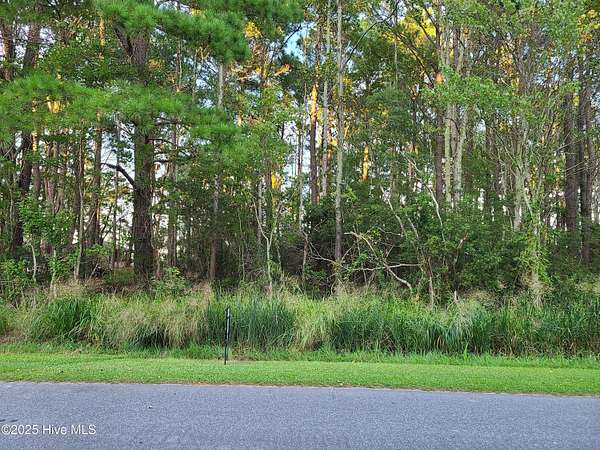 0.29 Acres of Residential Land for Sale in Elizabeth City, North Carolina