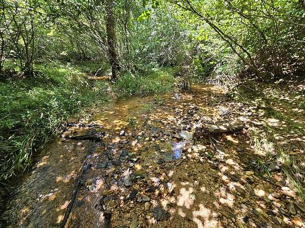 100 Acres of Recreational & Residential Land for Sale in Gladstone, Virginia
