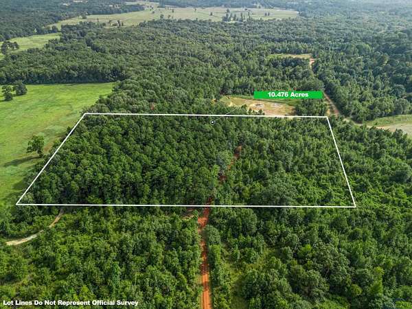 10.5 Acres of Land for Sale in Easton, Texas