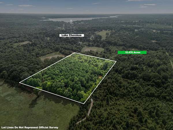 10.5 Acres of Land for Sale in Easton, Texas