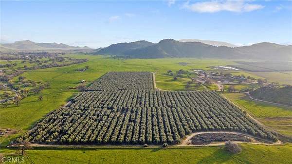 467 Acres of Agricultural Land for Sale in Woodlake, California