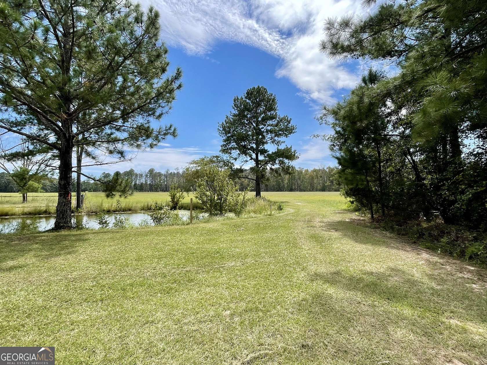 5 Acres of Residential Land for Sale in Brooklet, Georgia