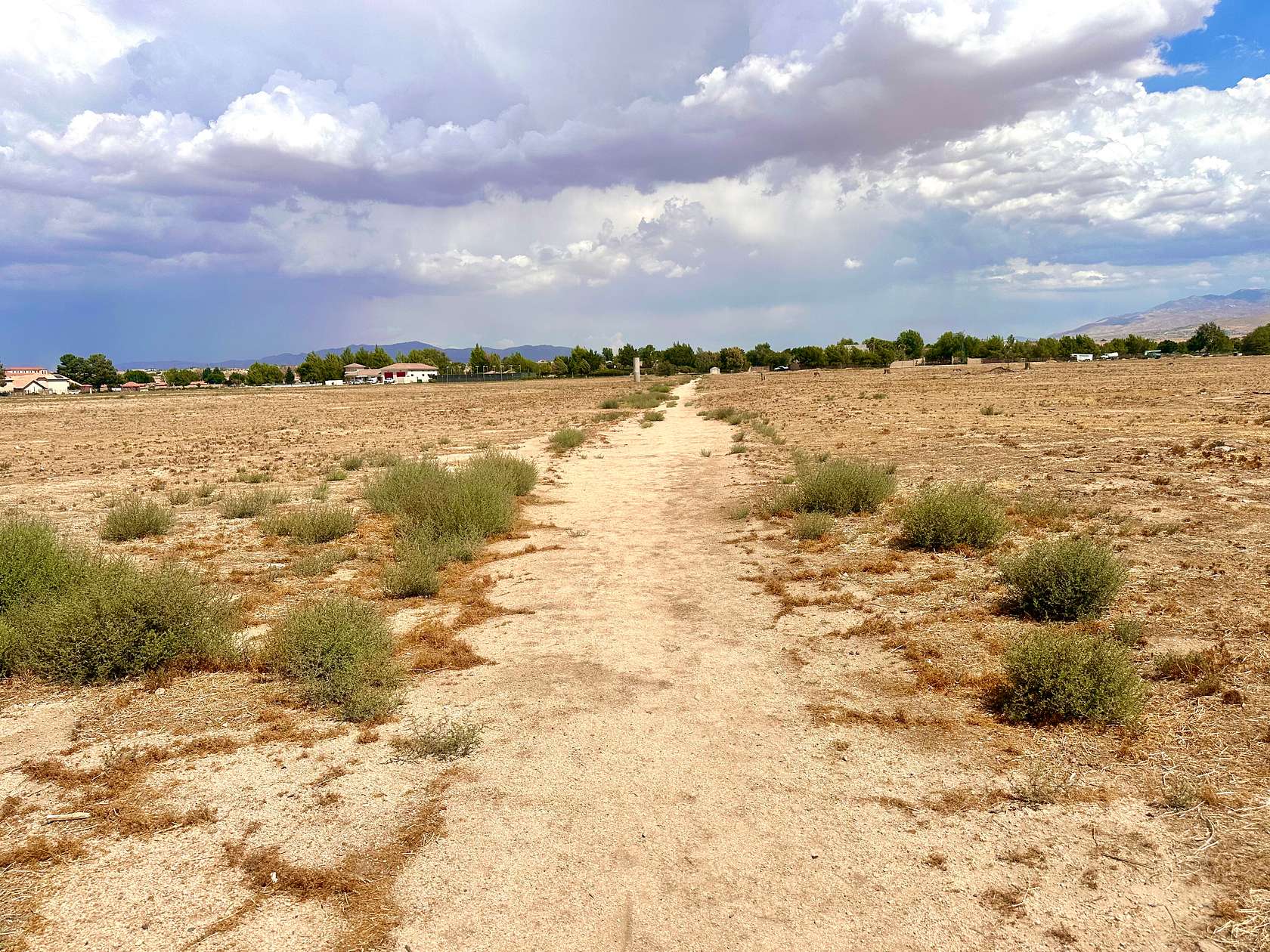 0.07 Acres of Mixed-Use Land for Sale in Apple Valley, California