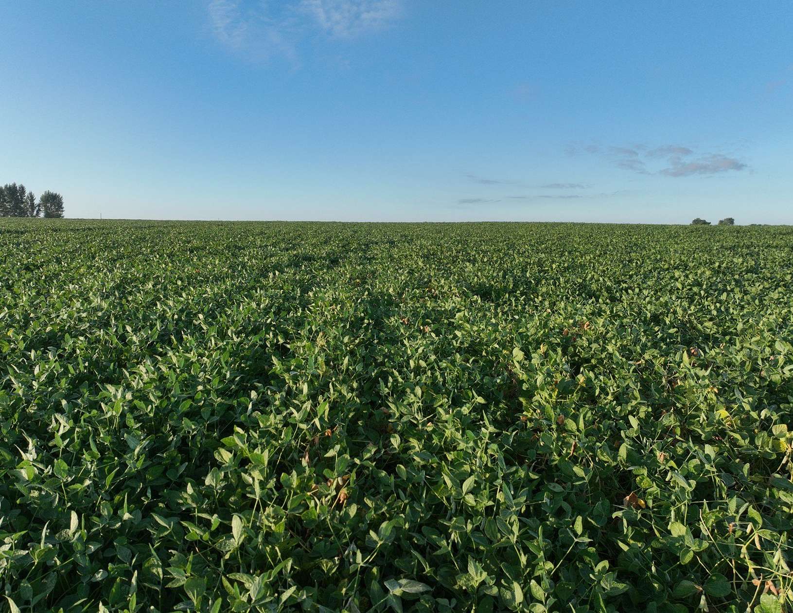 140 Acres of Recreational Land & Farm for Auction in Felix Township, Iowa