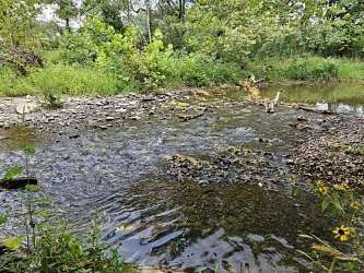 104 Acres of Agricultural Land for Sale in Goodspring, Tennessee