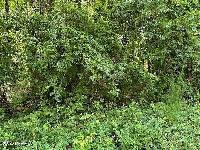 0.25 Acres of Residential Land for Sale in Hertford, North Carolina