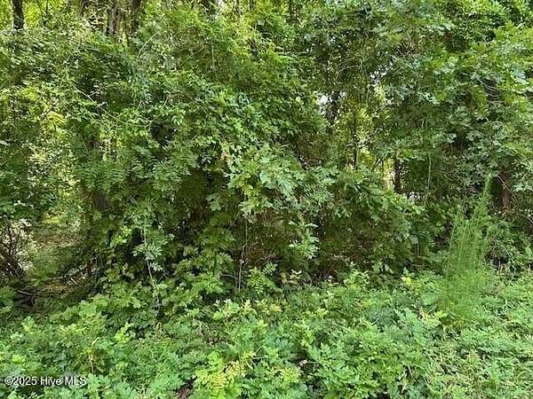 0.25 Acres of Residential Land for Sale in Hertford, North Carolina